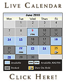 Check Out the Live Calendar